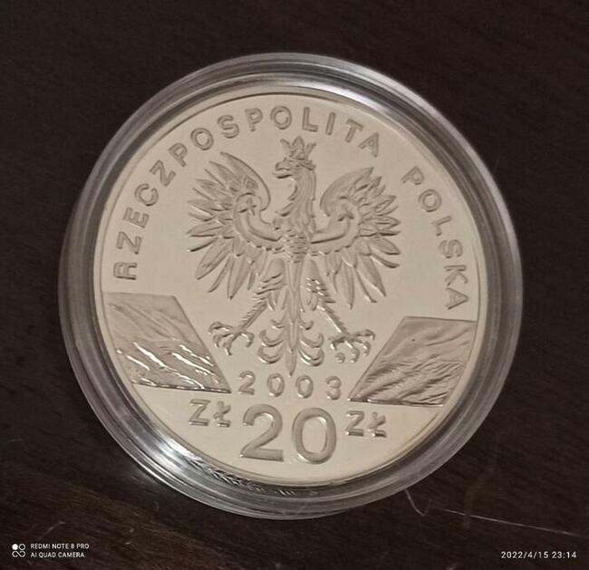20 zł 2003 Węgorz moneta kolekcjonerska
