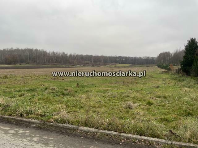 Działka budowlana Gorzyce