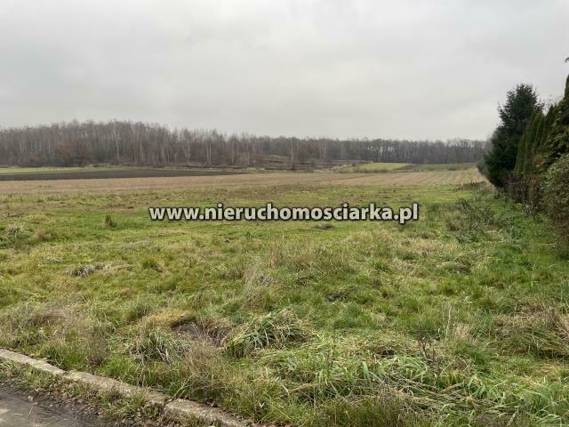 Działka budowlana Gorzyce