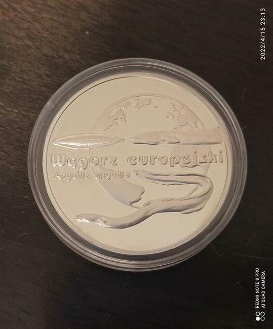 20 zł 2003 Węgorz moneta kolekcjonerska