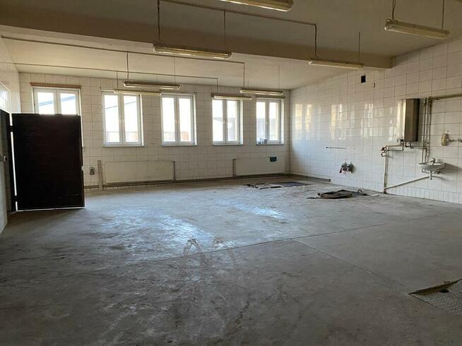 lokal o powierzchni od 200 do 550 mkw