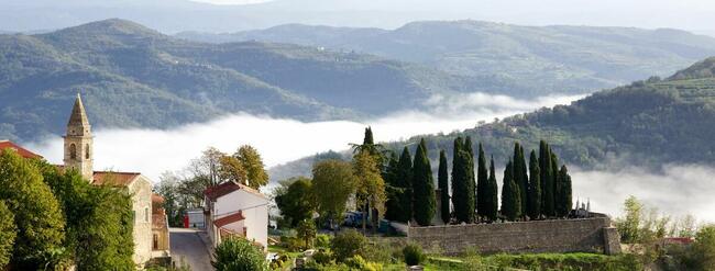 Geotour oferuje wycieczke objazdową Złoto Istrii .