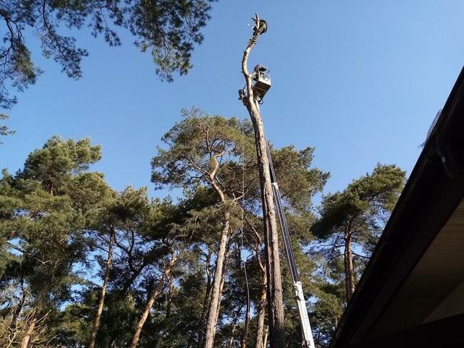 Podnośnik koszowy 18 i 20 m Błonie i okolice