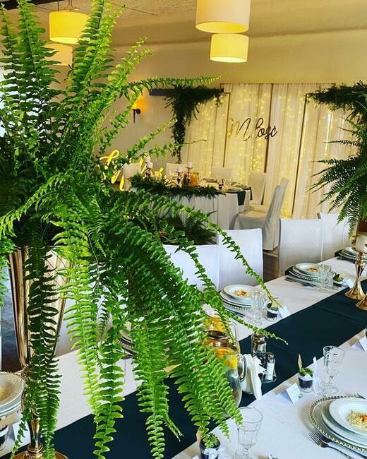 AUTO DO ŚLUBU W GRATISIE MAGNAT PIOTROWICE