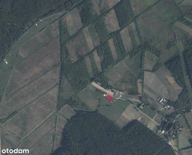 Sprawdź!| Działka Na Szydłowcu |Blisko Lasu| 10 Ar