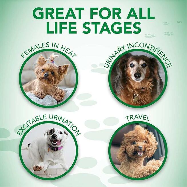 12x VETS+BEST PIELUCHY DLA dużego psa L XL 60-80