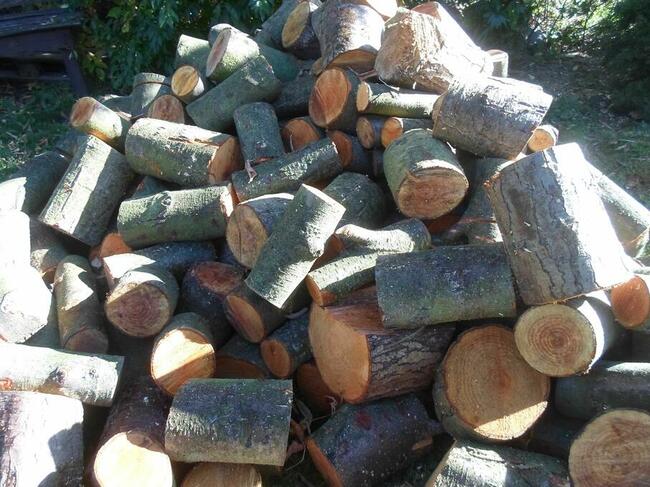 drewno opałowe, kominkowe