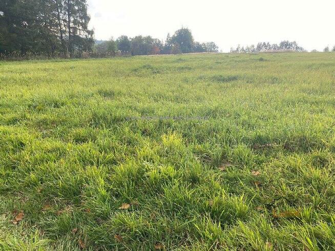 Działka rolno-budowlana Barwałd Górny gm. Kalwaria Zebrzydowska