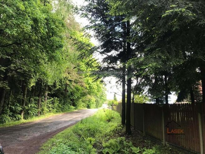 Działka leśna Wysoka gm. Wadowice