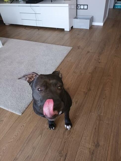 poznam kobiete na dobre izle