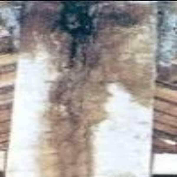 Powiększamy montujemy systemy kominowe. Atrakcyjne ceny.