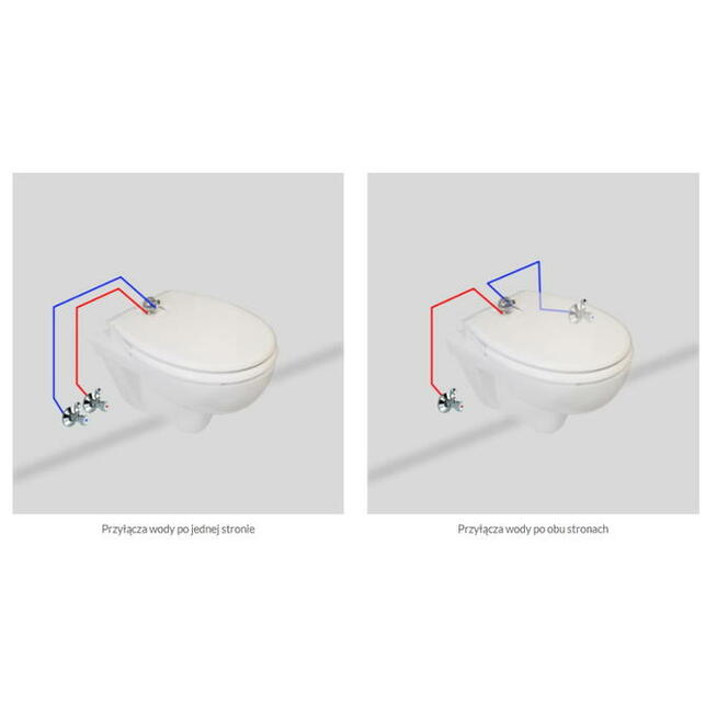 Deska z funkcją bidetu