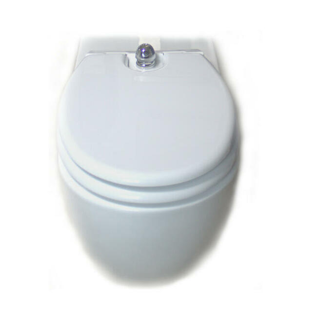 Deska z funkcją bidetu