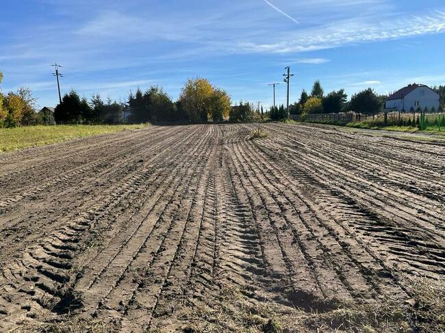 Karczowanie działek. Mulczowanie Miechów. tel. 575-747-470