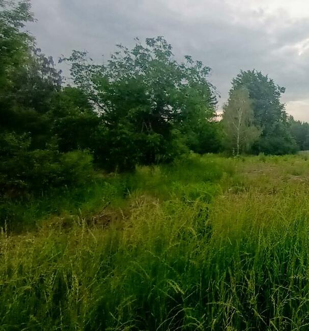 Działka dla dewelopera z WZ Łódź