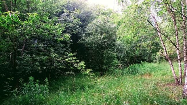 Działka dla dewelopera z WZ Łódź