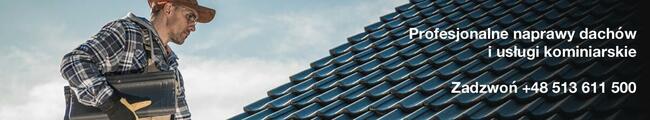 Uszczelnianie kominów Renowacje dachów remonty kominów itd