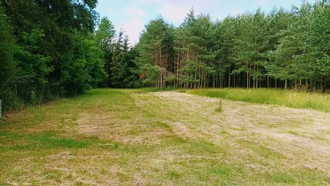 Działka dla dewelopera z WZ Łódź