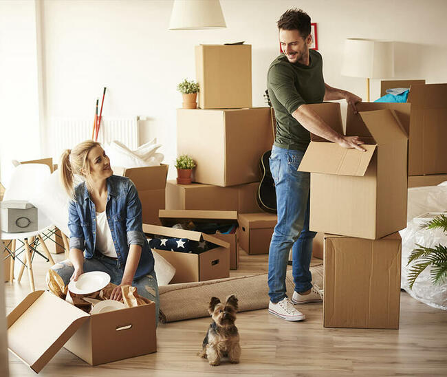 Przeprowadzki Legnica