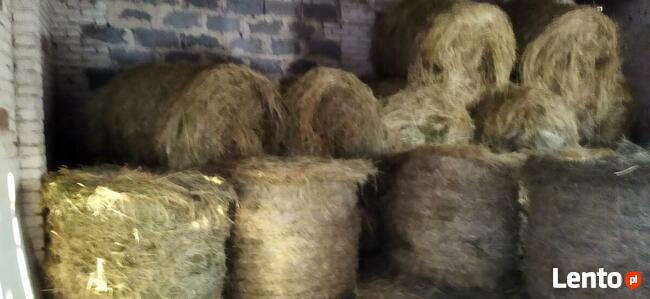 Sprzedam bele siana rozmiar 120-120