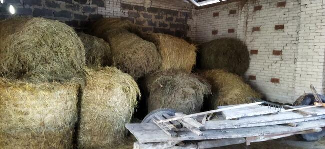 Sprzedam bele siana rozmiar 120-120