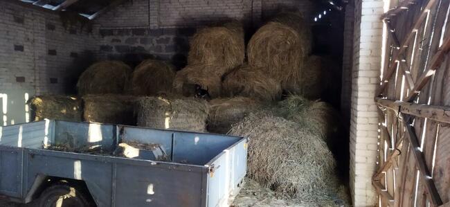 Sprzedam bele siana 120-120