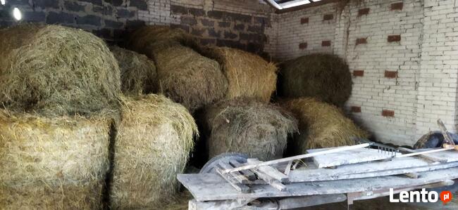 Sprzedam bele siana rozmiar 120-120