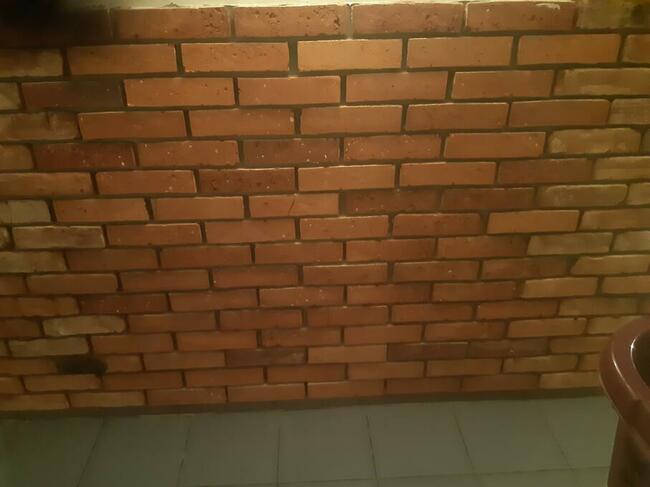 Cegła cięta na ścianę gr ok 2 cm środki 606744989