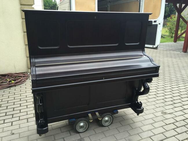 Przeprowadzki Legnica