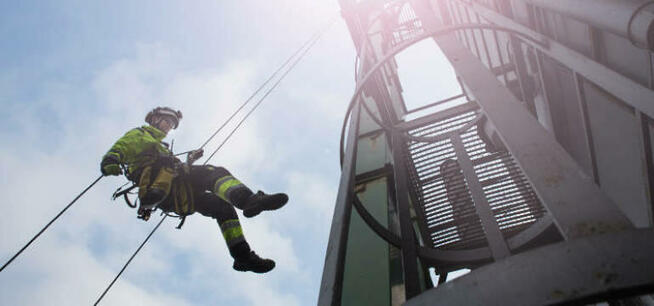 Wycinka drzew | prace wysokościowe | alpinista przemysłowy |