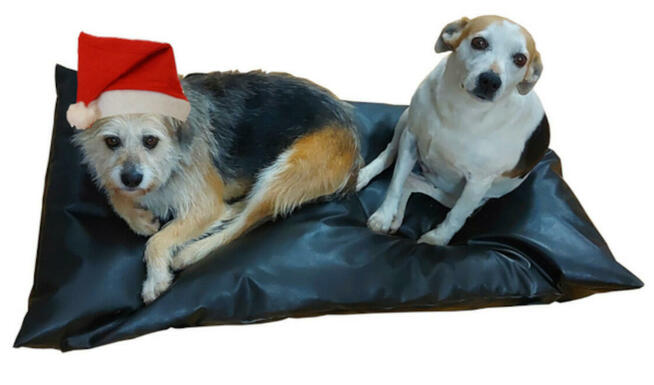 Legowisko posłanie dla psa i kota z pasami do mocowania