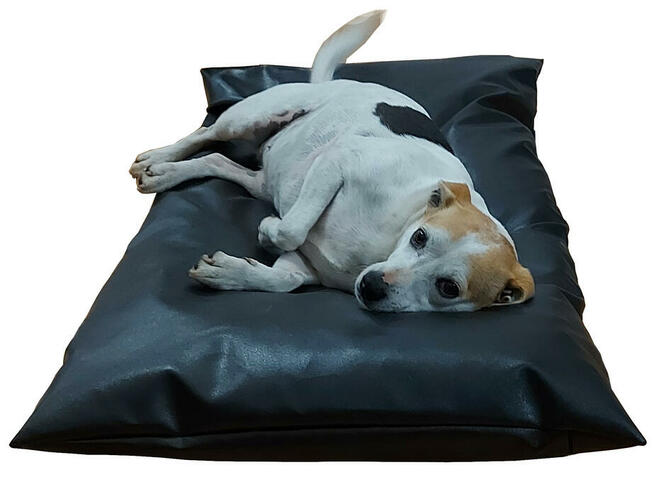 Legowisko posłanie dla psa i kota z pasami do mocowania