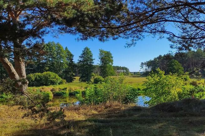 Działka z linią brzegową rzeki Narew (Szablak)