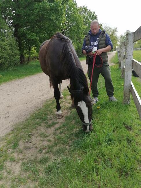 Poznam sympatyczną otwartą kobietę do miłych spotkań:>