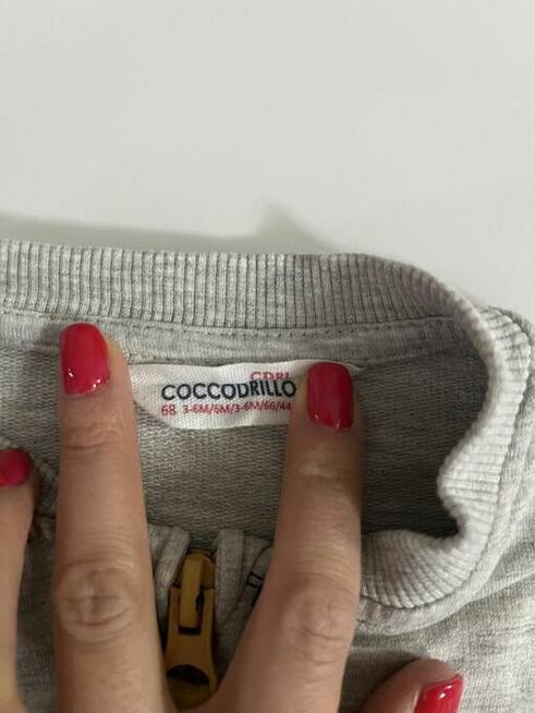 Bluza Cocodrillo r. 68