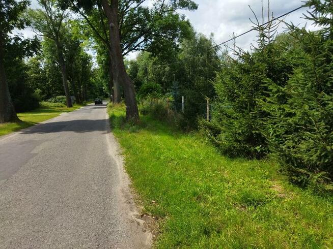 Działka z warunkami zabudowy (WZ), obok jezioro, lasy, winnica