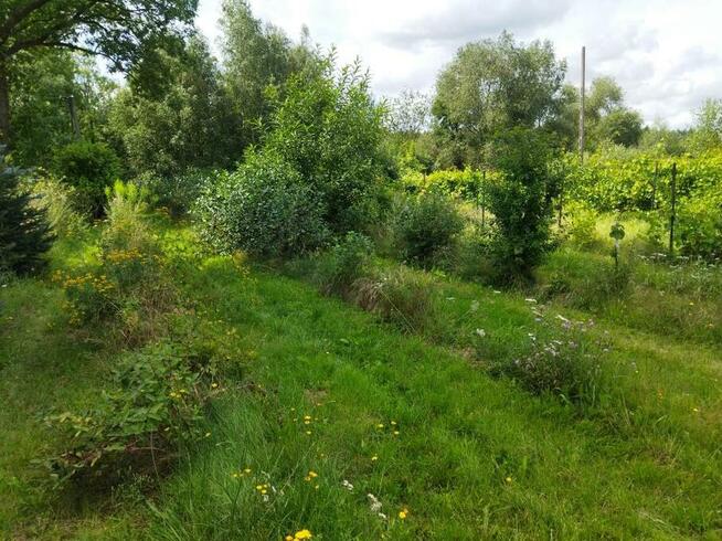 Działka z warunkami zabudowy (WZ), obok jezioro, lasy, winnica