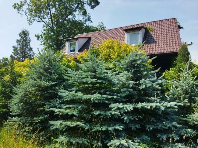 Dom nad jeziorem, 0.98ha,potencjał na ośrodek wędkarski