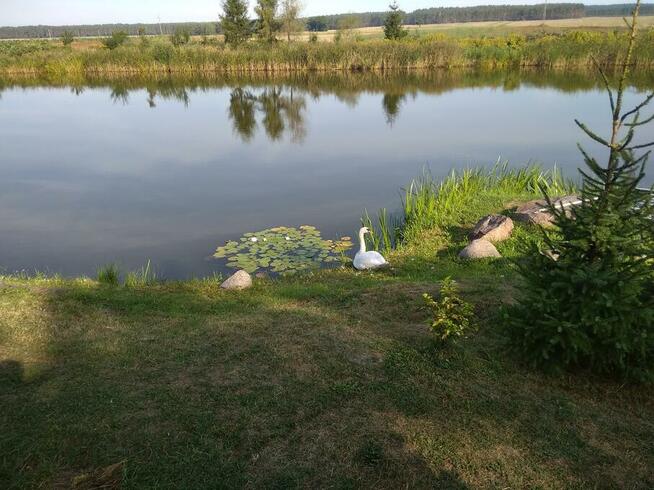 Działka z warunkami zabudowy (WZ), obok jezioro, lasy, winnica