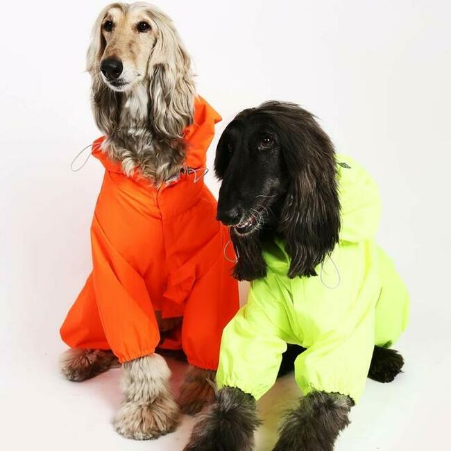 7XL Kurtka dla psa Puppy Angel PA-OW302 grzbiet 72