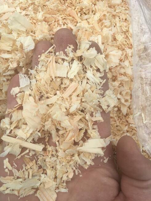 Ściółka dla koni, trocina, wióry odpylone, paleta 18 opk.