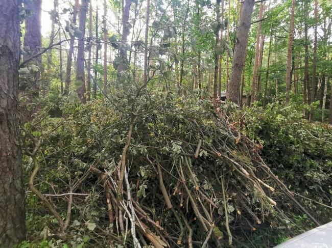 Zrebkowanie, mielenie gałęzi, rębak, porządkowanie działek