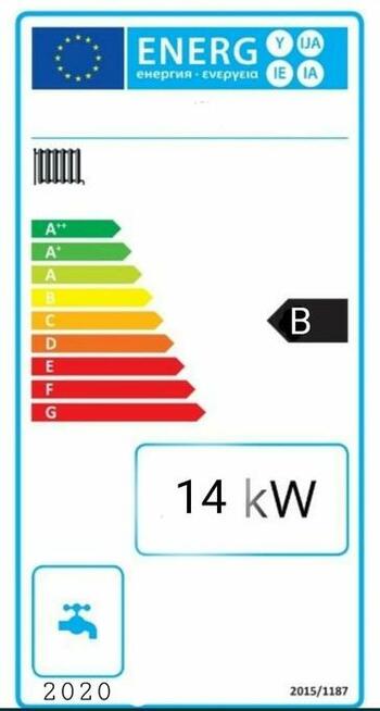 Piec kocioł na drewno węgiel 14 kW do 120 m2 PLESZEW