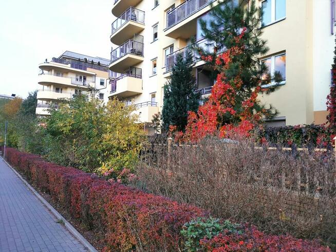 Bezpośrednio*2 pokoje*Bemowo*od zaraz