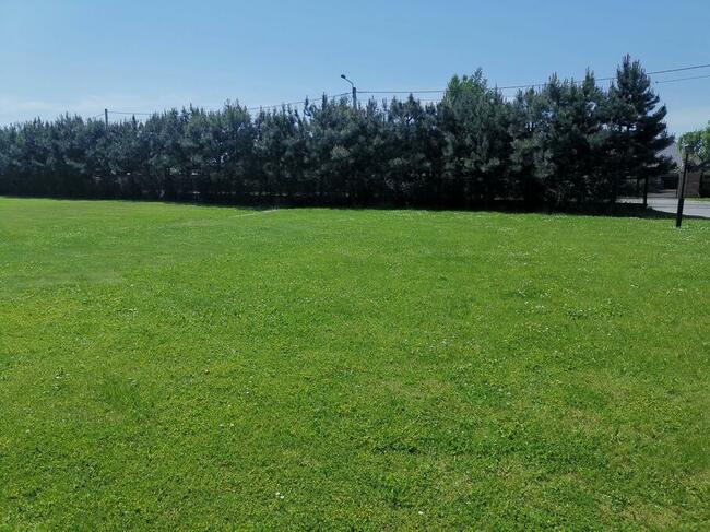 Koszenie trawy, trawniki, nieużytki, zarośla, samosiejki