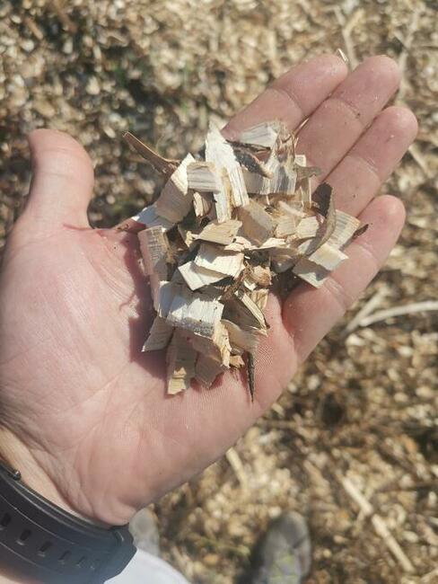 Zrebkowanie, mielenie gałęzi, rębak, porządkowanie działek