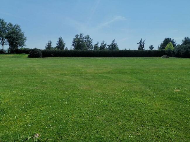 Koszenie trawy, trawniki, nieużytki, zarośla, samosiejki