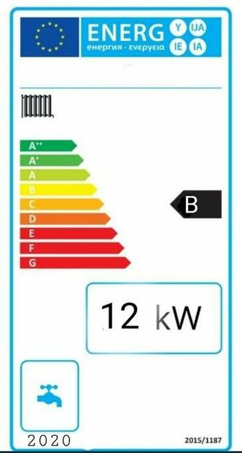 Piec kocioł na drewno węgiel 12 kW do 100 m2 PLESZEW