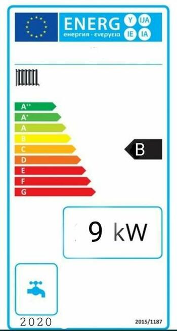 Piec kocioł 9 kW do 80 m2 na drewno węgiel PLESZEW