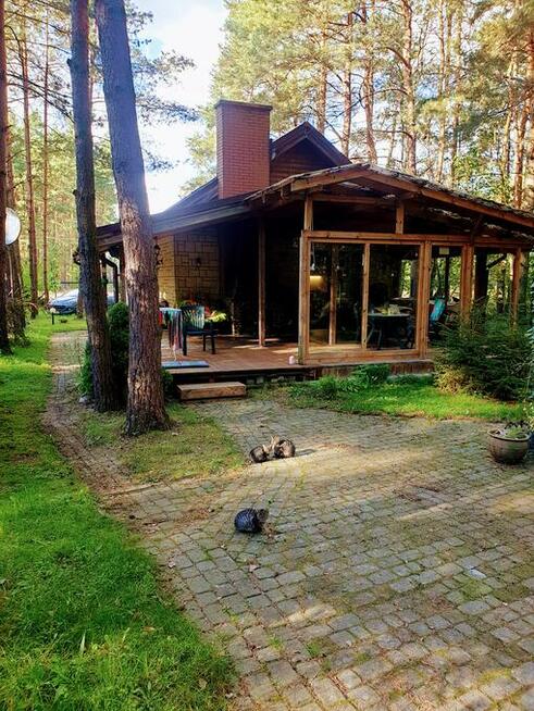 Magiczne Wieczory Panieńskie w Sercu Natury